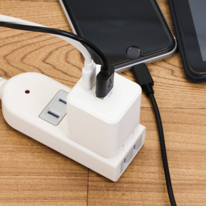 USB充電器 PD30W SK-CH1A1CPD30WH