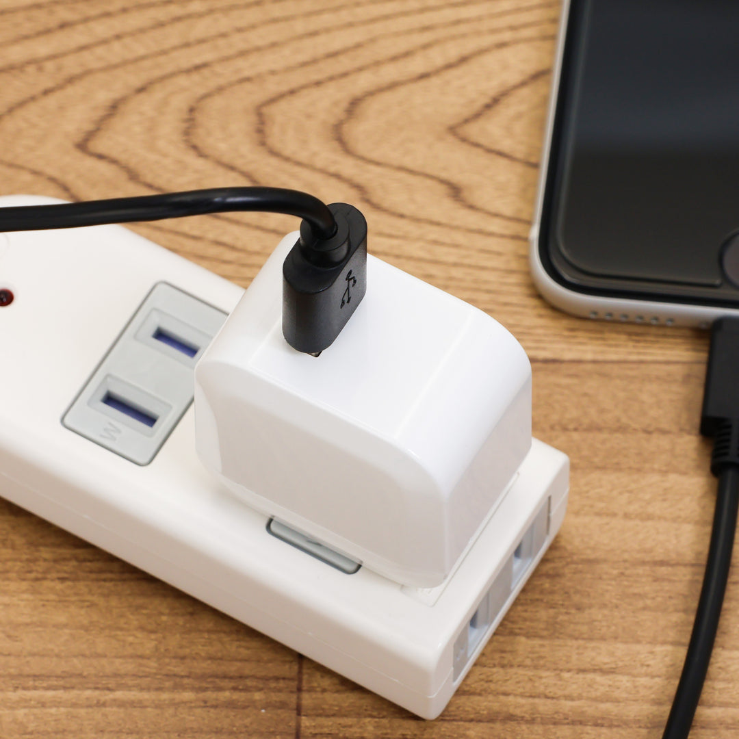 USB充電器 2.1A SK-CH1A21WH